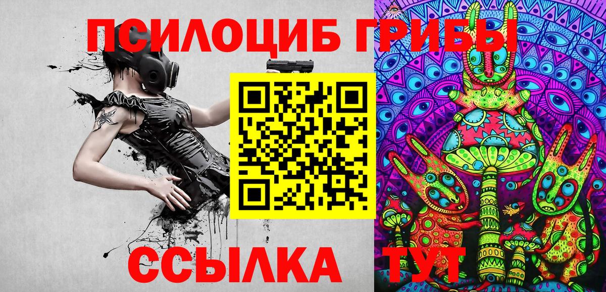 Псилоцибиновые грибы мицелий  Вход с VPN  Железногорск  Галлюциногенные грибы прущие грибы 